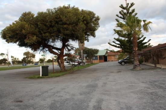 Cervantes Pinnacles Motel Exteriör bild